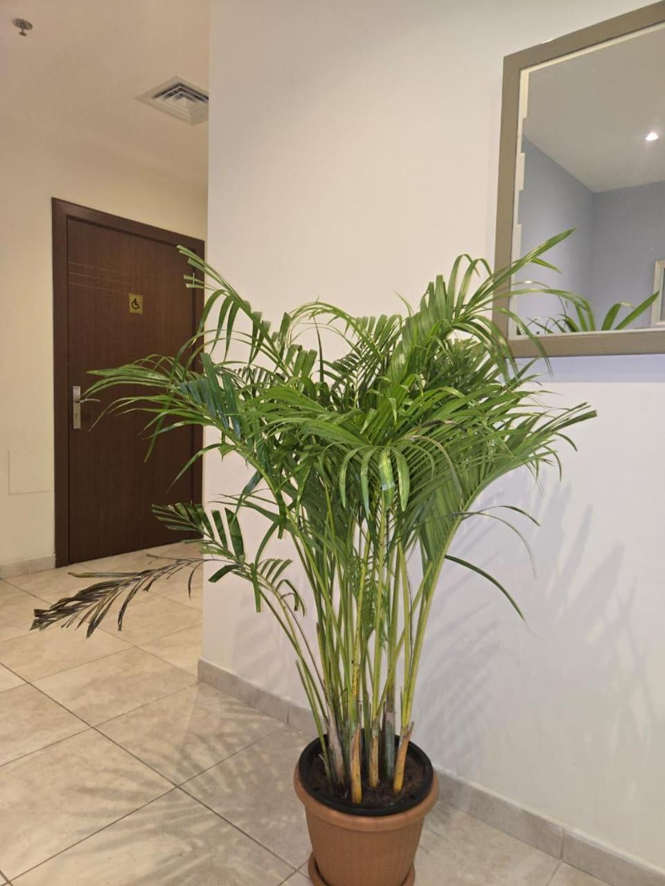 Al Raya Hotel Apartments Дубай Экстерьер фото
